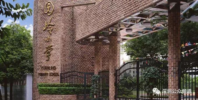 深圳贵族小学,深圳贵族小学排名前十名