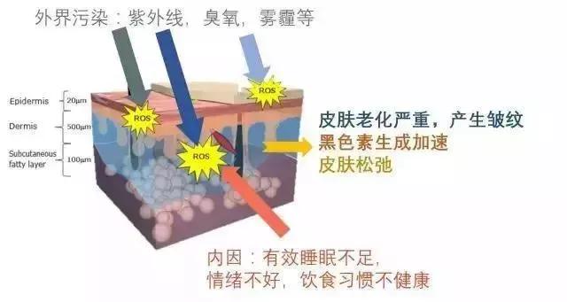 澳洲爆火的神奇爆奶霜,秋冬季有它就够了,一搓爆奶