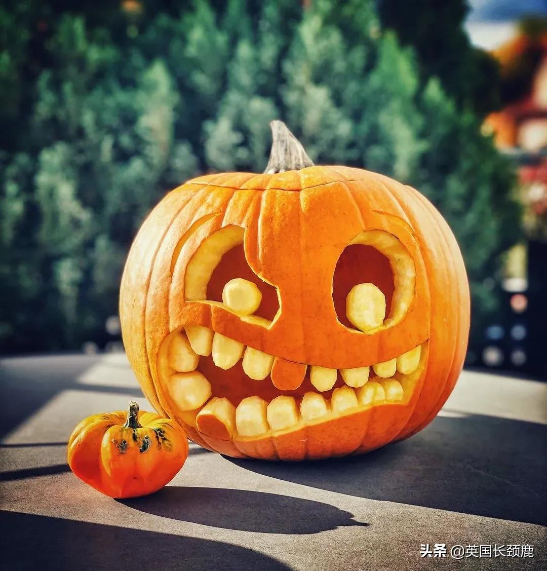 南瓜大作战攻略,南瓜大作战有几个地点