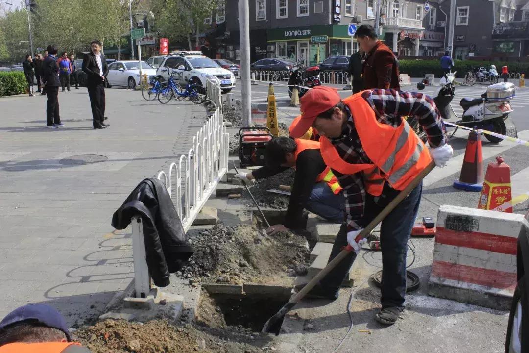 帮“任性车”守规矩！双井才舍不得让你坐在车上哭