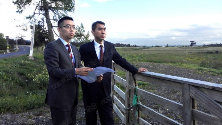 杨毫创业史,成都置信集团杨毫年龄