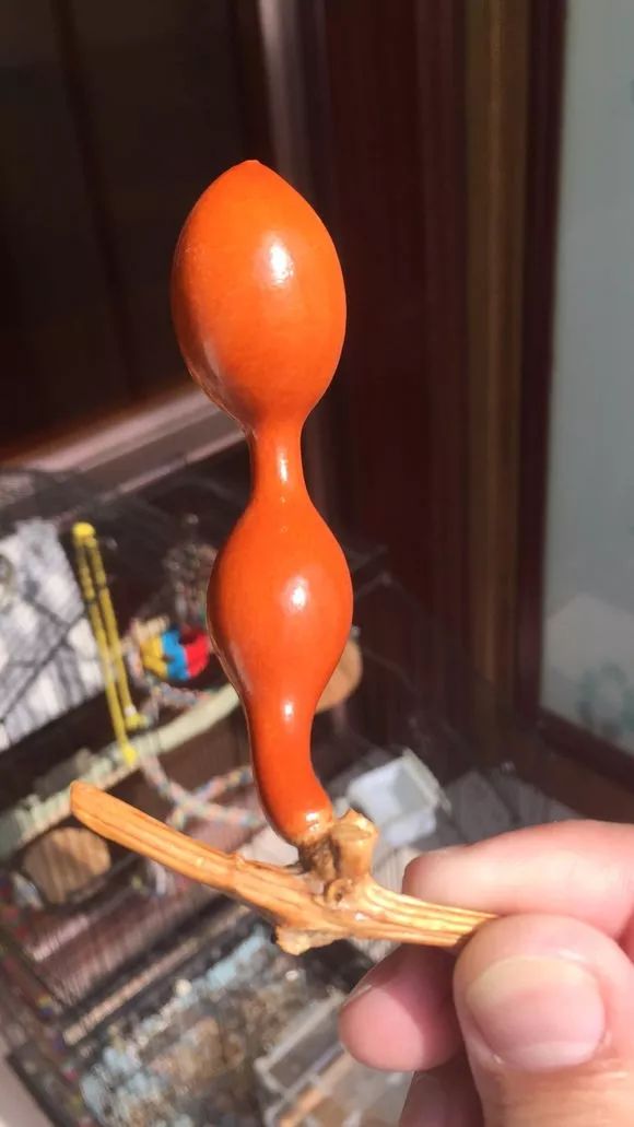 普通人玩不起的三种文玩,绝对不能玩的五种文玩