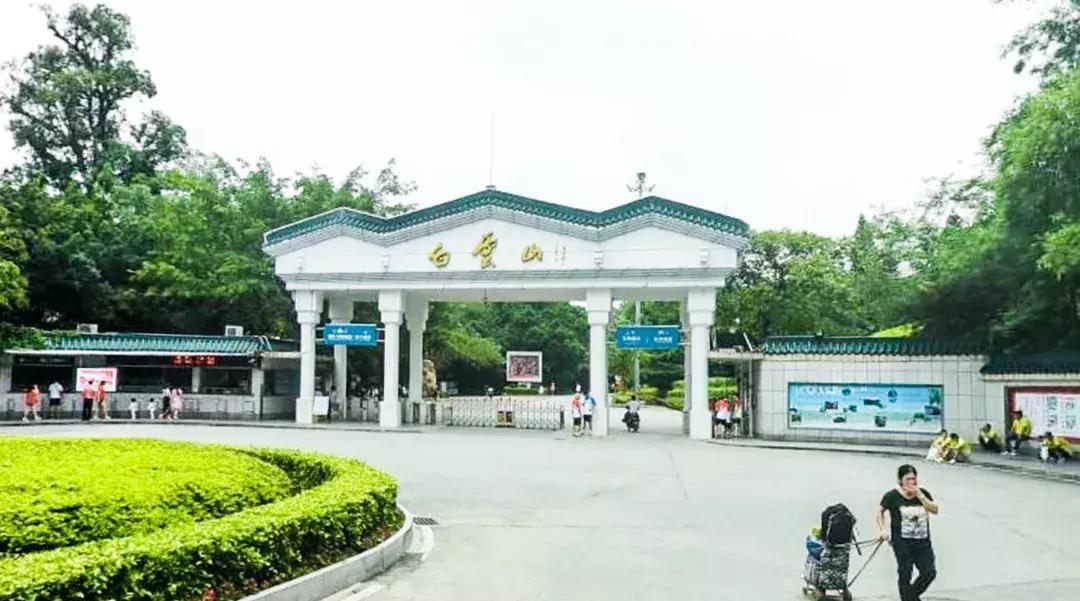 白云山打卡转场,广州白云山爬山攻略怎么预约