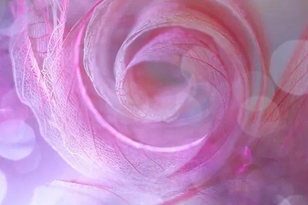 叶脉，用生命的另一种姿态滋长与绽放，婉转清扬、古拙雅逸