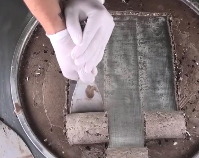 用奥利奥做冰淇淋路边摊,男人做冰淇淋