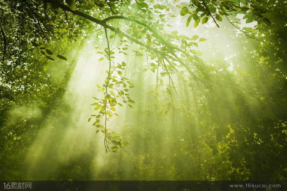 人类会把地球资源消耗殆尽吗,人类的资源还有多长时间能耗尽