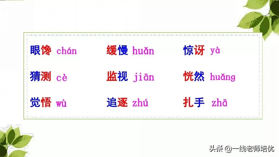 三年级语文带刺的朋友课堂笔记,带刺的朋友三年级上册