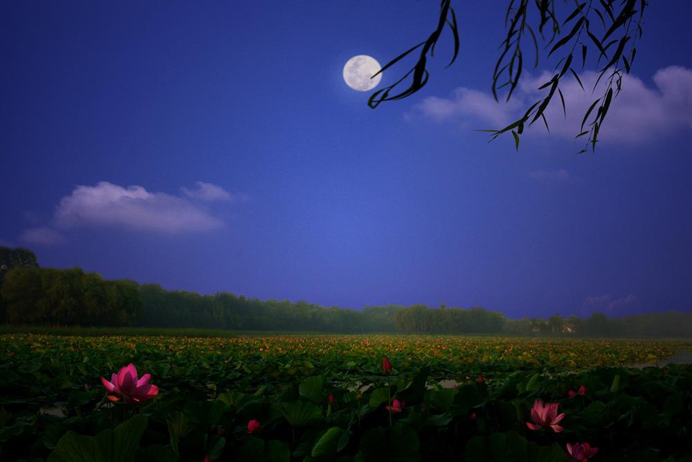 诗经月出女子与月亮,《诗经》中惊艳时光的女子