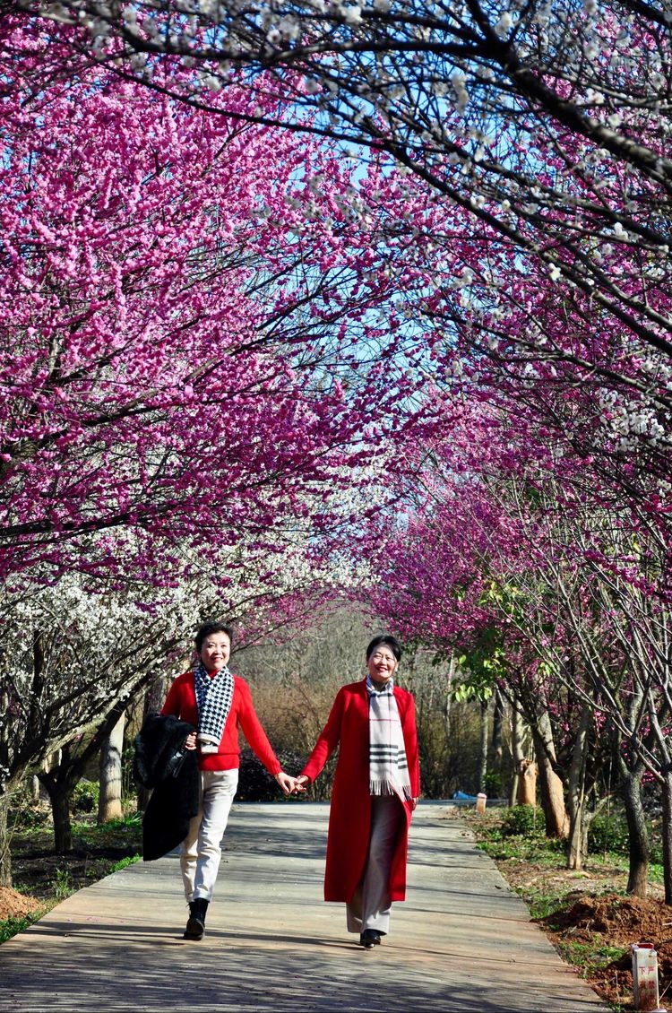 傅家边野营,走进金溪傅家村