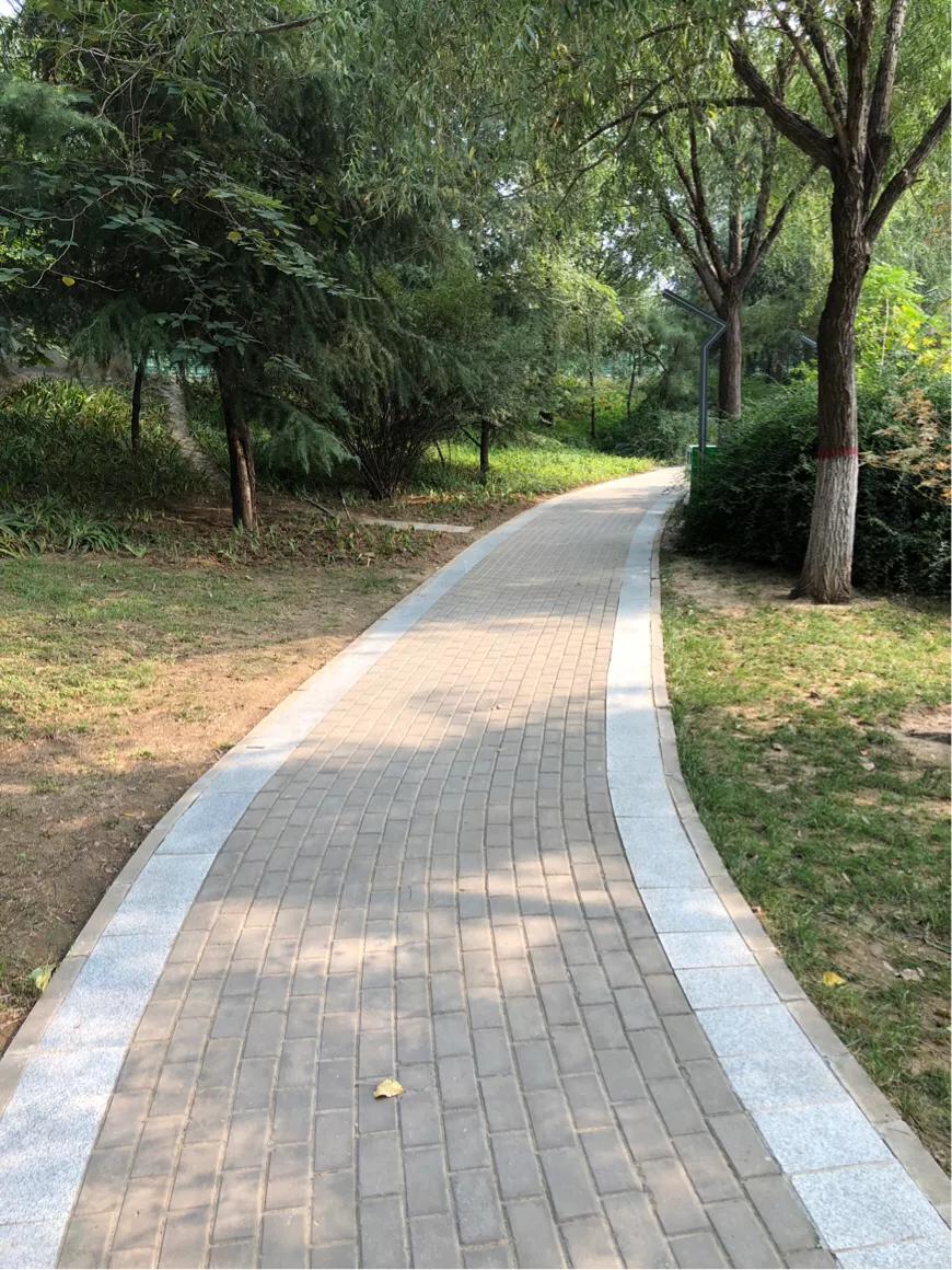 郑州市莲花公园,郑州池南路莲花公园