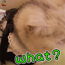 提醒：这5种卫生巾，用多了容易得妇科病！你还在用吗？