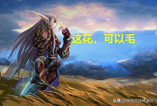 这才测试服，就开始毛装备了，还是直播毛装备，脸都不要了？