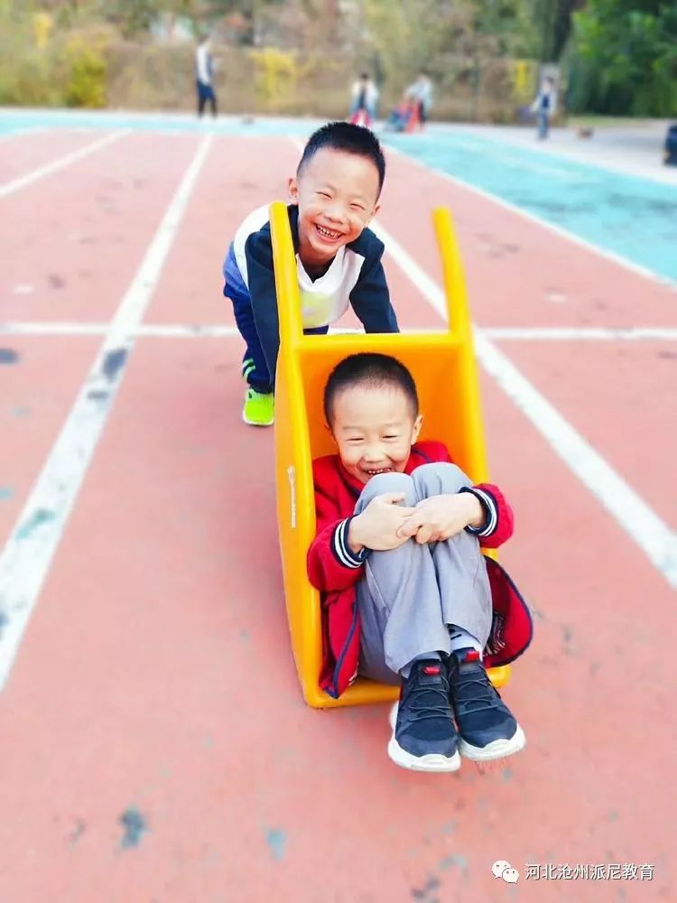 身体大揭秘动画,身体大揭秘