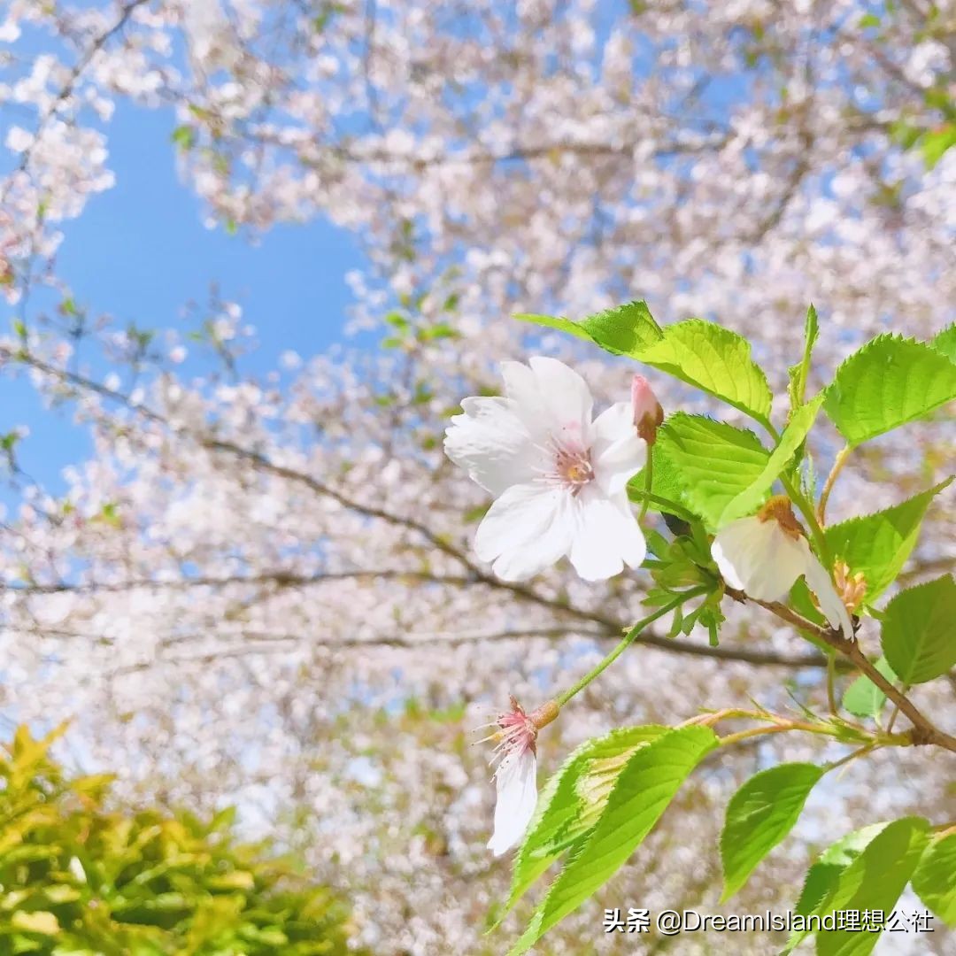 秋冬水润的粉底液,秋冬水润持妆粉底液
