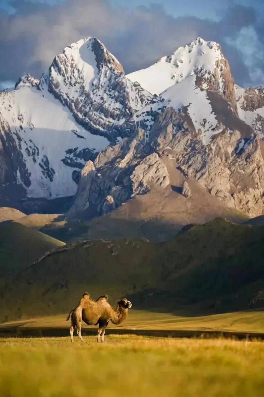 中国至今没被认全的20个邻居，个个身怀宝藏，你知道几个？