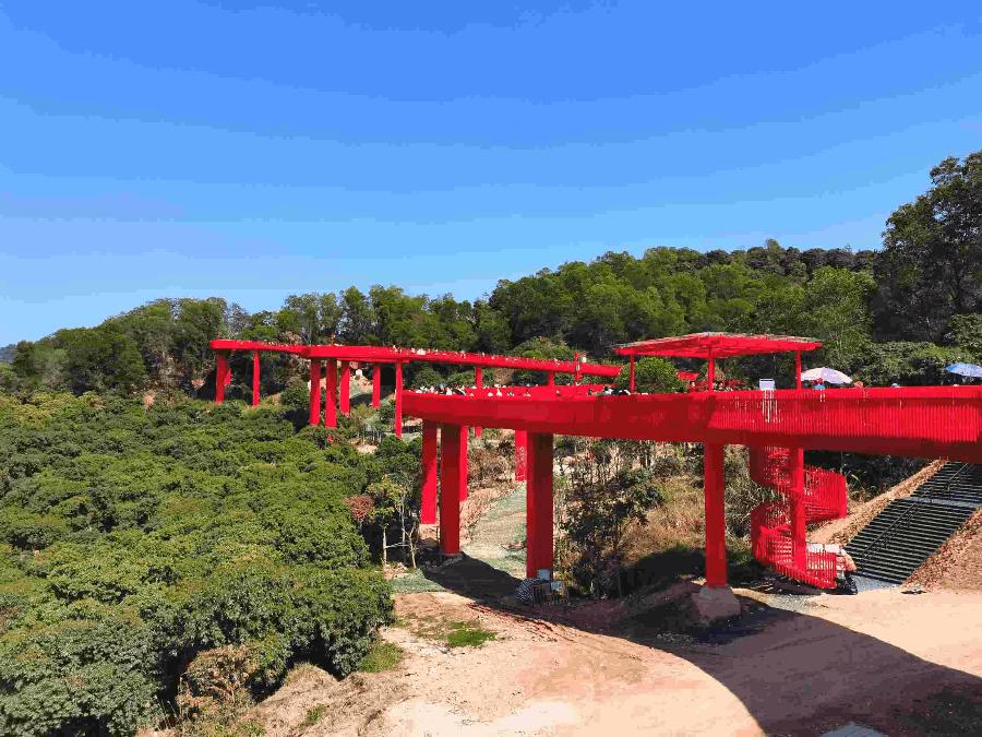 新春踏上深圳光明“虹”地毯，牛年红红火火