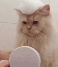 12大用药误区家长务必不要再犯了,这些用药误区家长不要踩