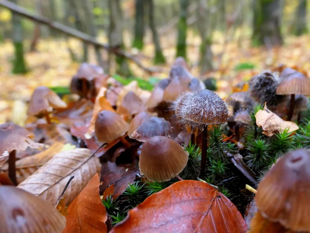 徕卡便携相机的lux7,徕卡便携款价格表