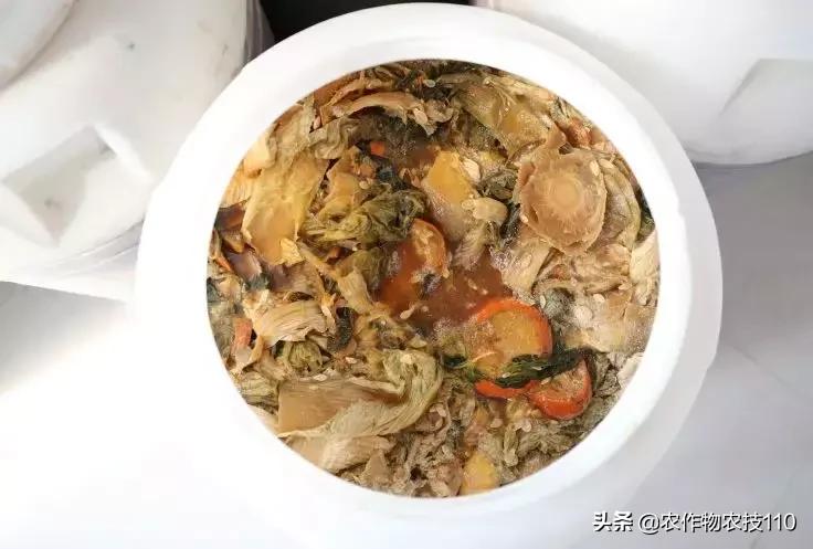 蔬菜种植自制营养土配方,菜地里加什么能让菜长得快