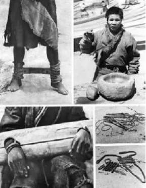 从不如牛马到翻身做主，*藏西**农奴是如何得到解放的？