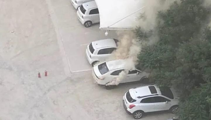 长城欧拉品牌总经理余飞,欧拉汽车总经理余飞