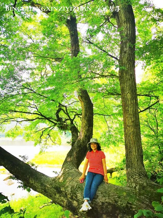 镜泊湖是堰塞湖吗,高山熔岩堰塞湖镜泊湖