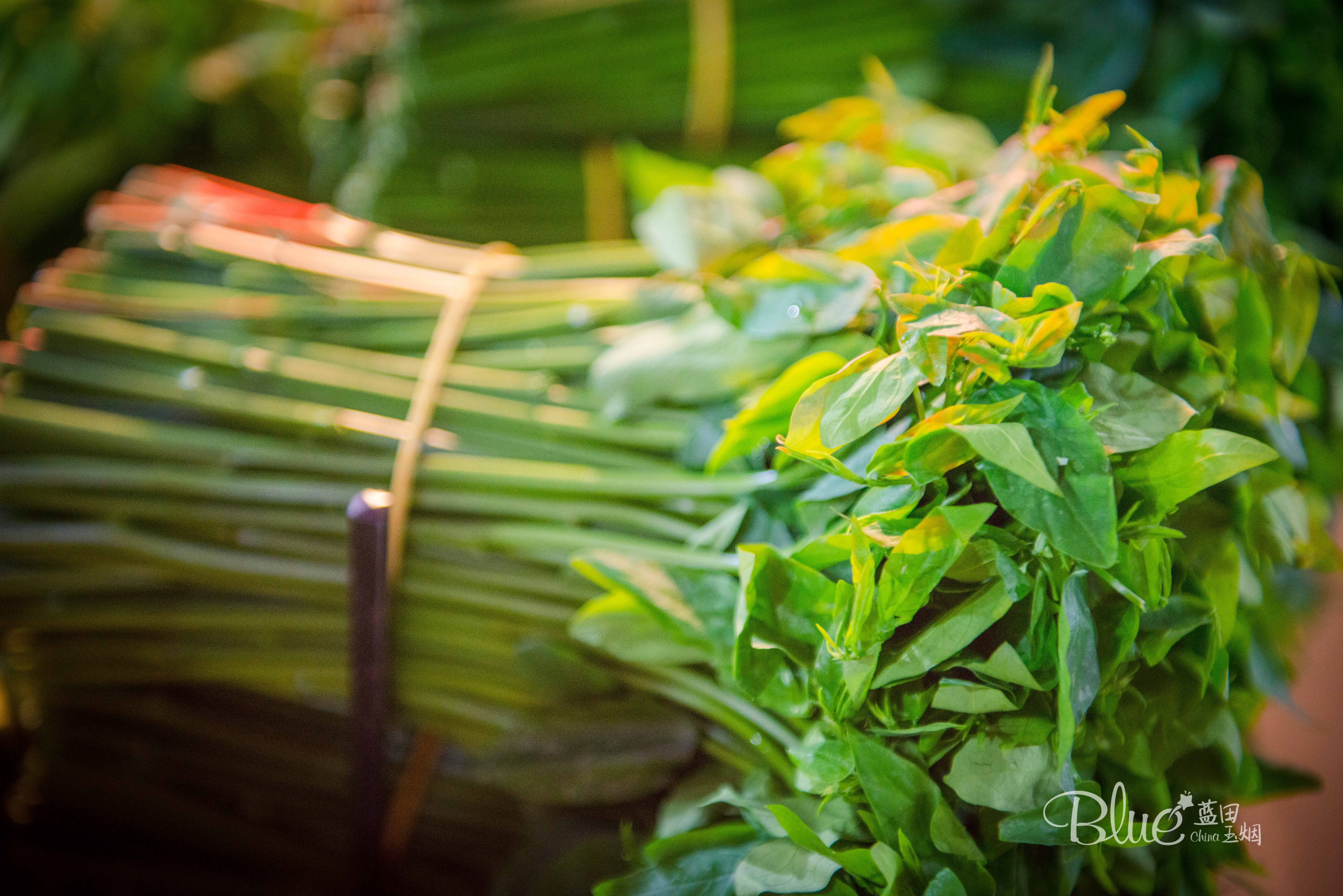 海口海鲜市场哪里比较好,海口板桥海鲜市场海鲜新鲜吗