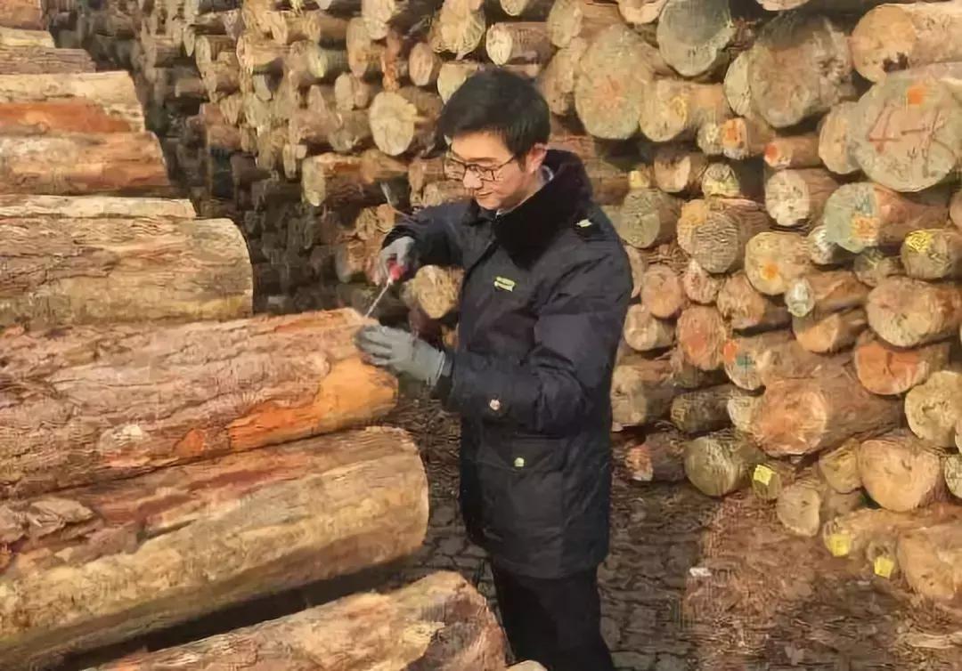 中国木材进口哪里比较多,进口木材从哪里来