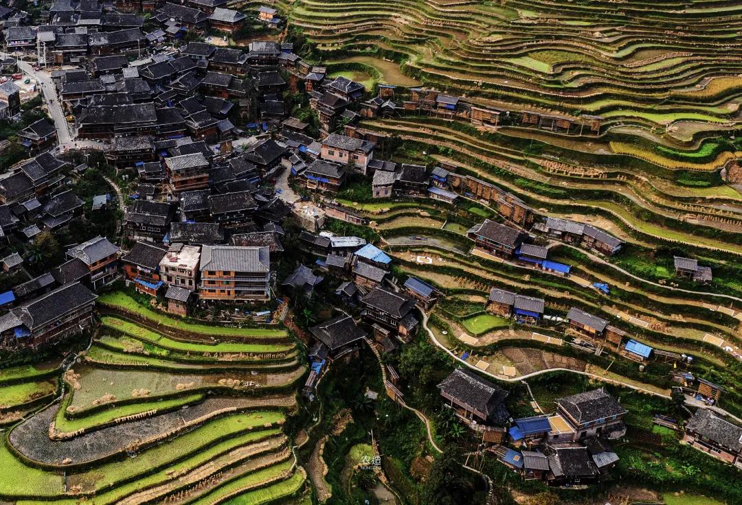 农造田野丨总有一根神经通往乡野|月亮山百里梯田