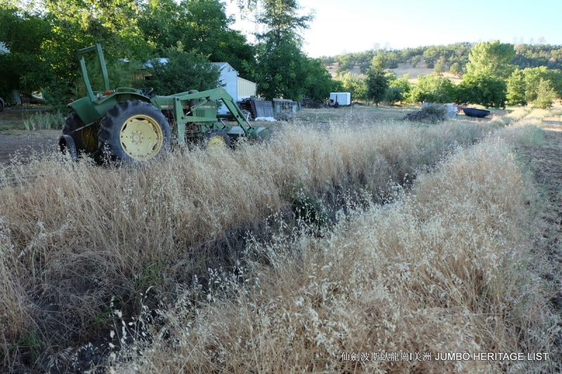 第3045回:人生一世草生一春,来如风雨去似微尘