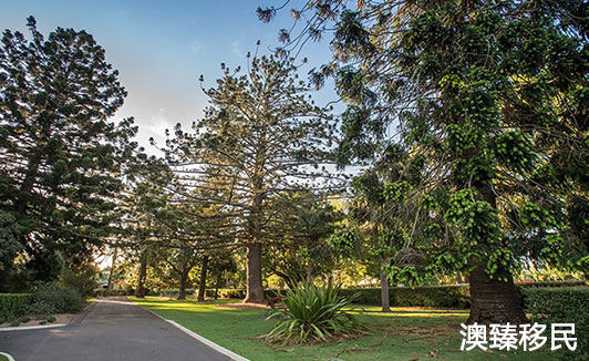 移民澳大利亚5年真实感受,移民澳大利亚十年后悔吗