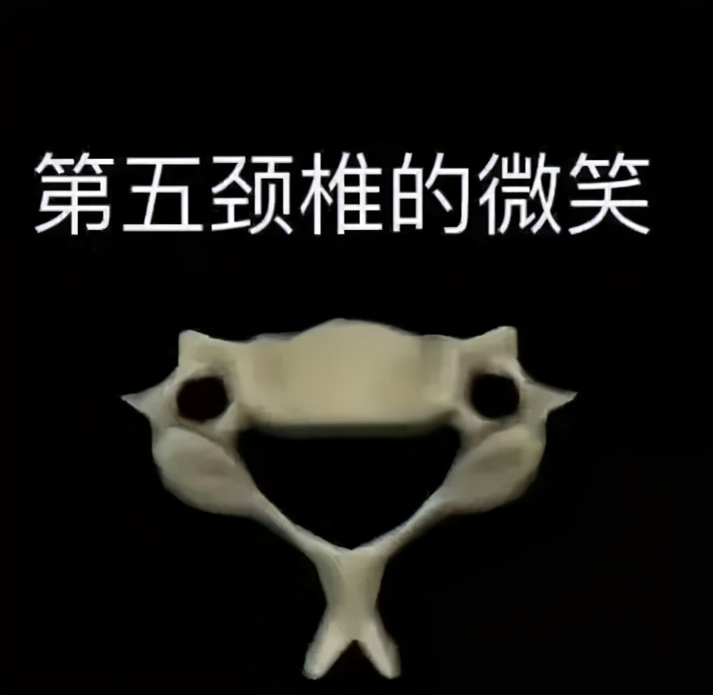 医学生学习打卡做题,医学生学习成果检验视频