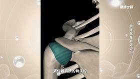 肩袖撕裂和肩周炎的区别怎么治,肩痛不等于肩周炎