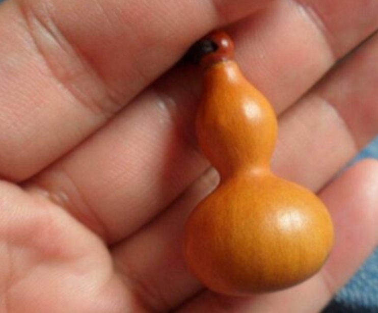 手捻葫芦种植技术,手捻葫芦怎么盘玩