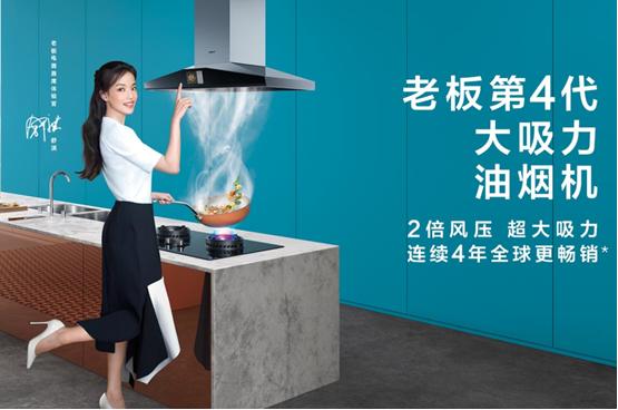 老板高性能油烟机,老板油烟机675s