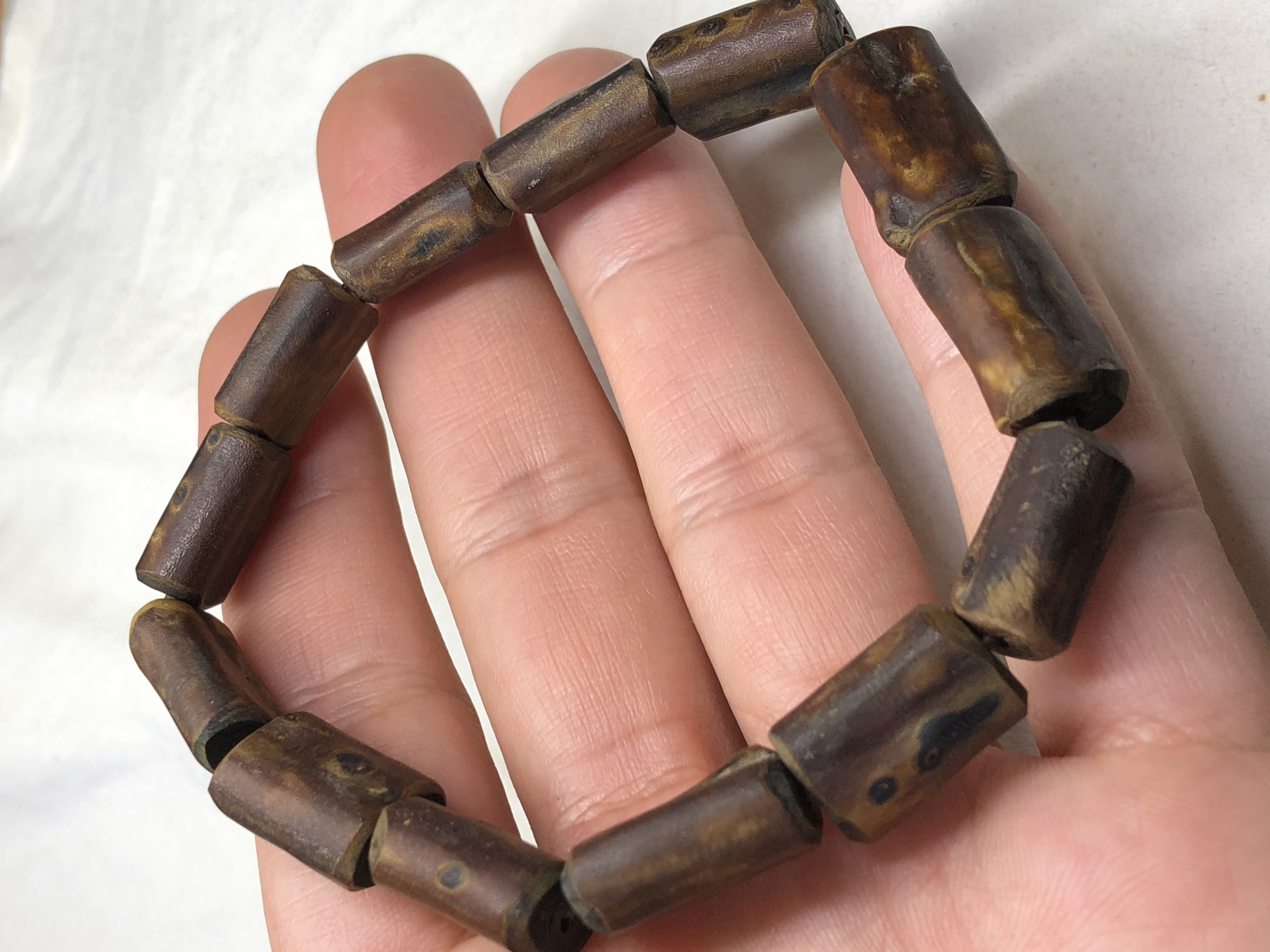 海柳木怎么鉴别,海金柳怎么辨别真假