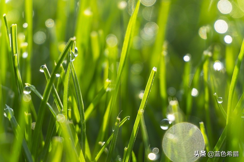 风景的摄影方法和鉴赏,摄影风景赏析