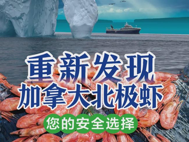 长沙甜虾批发市场,长沙哪里有北极甜虾批发的市场