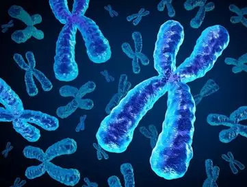 哪些药物可以预防胎儿停育,胎停育的隐形杀手