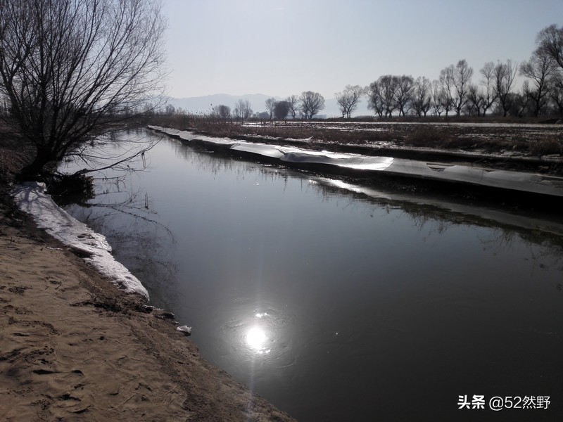 久违的蛙鸣声瞬间忆起童年的趣事,久违的蟋蟀声音