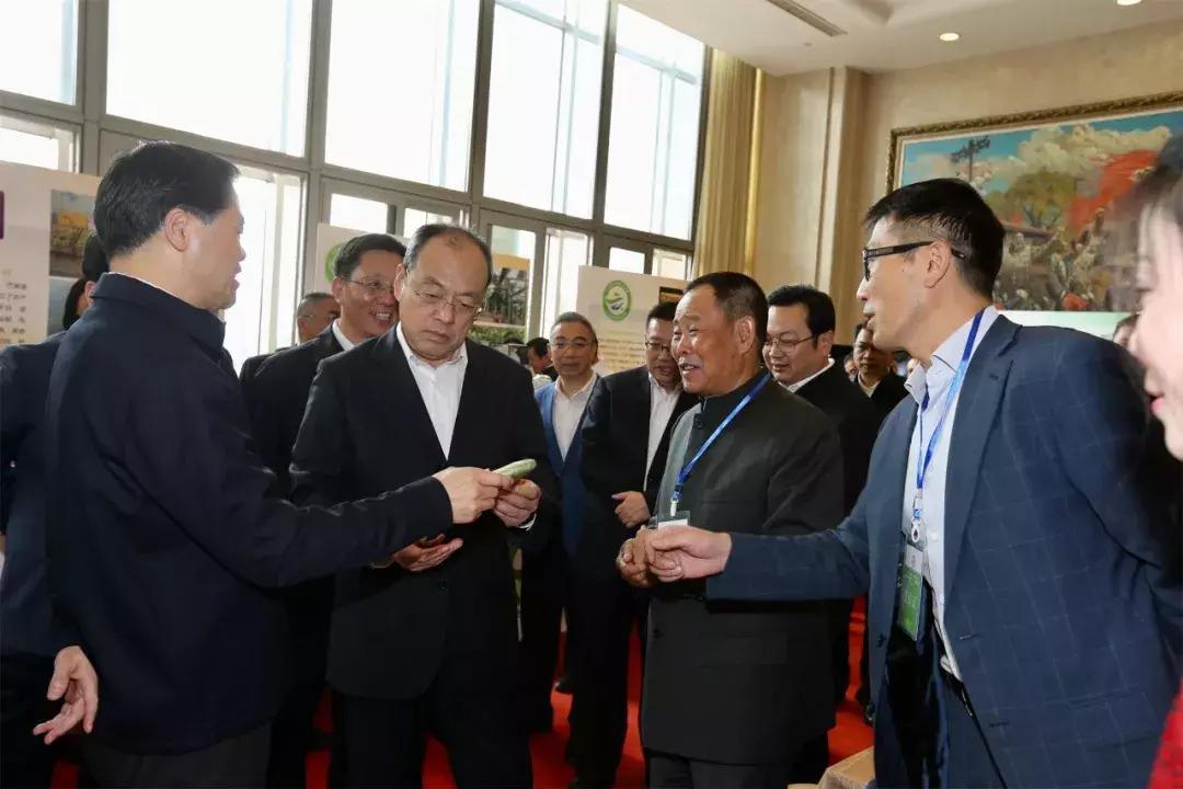 云南有什么名烟名酒名茶,2021年云南十大名茶排名