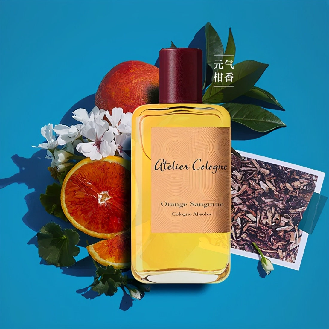 夏天清淡香水有哪些香味好闻的,十大公认最好闻的香水淡香推荐