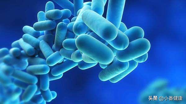 乙肝抗病毒治疗的药物的选择,乙肝基因b型适合哪种药物抗病毒