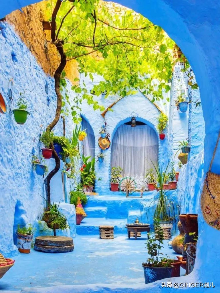 刚公布的潘通年度色怎么玩?