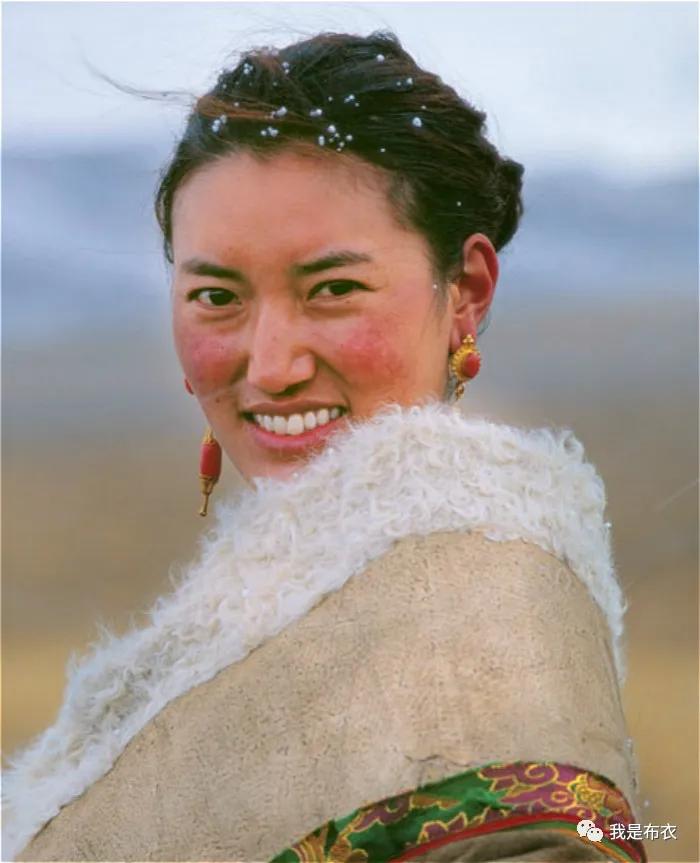 布衣：好书推荐——阿来的《蘑菇圈》