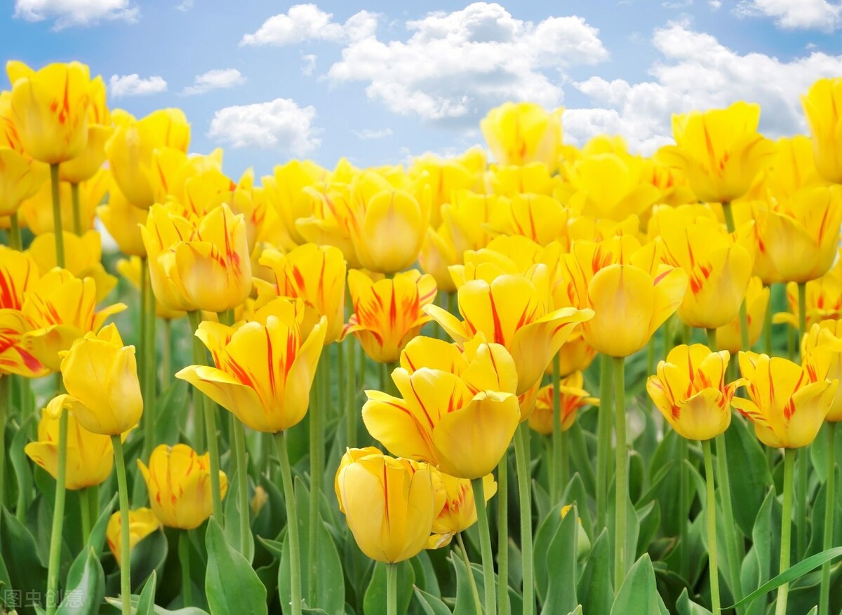 对视恐惧治愈经历,怎么克服跟人对视的恐惧感