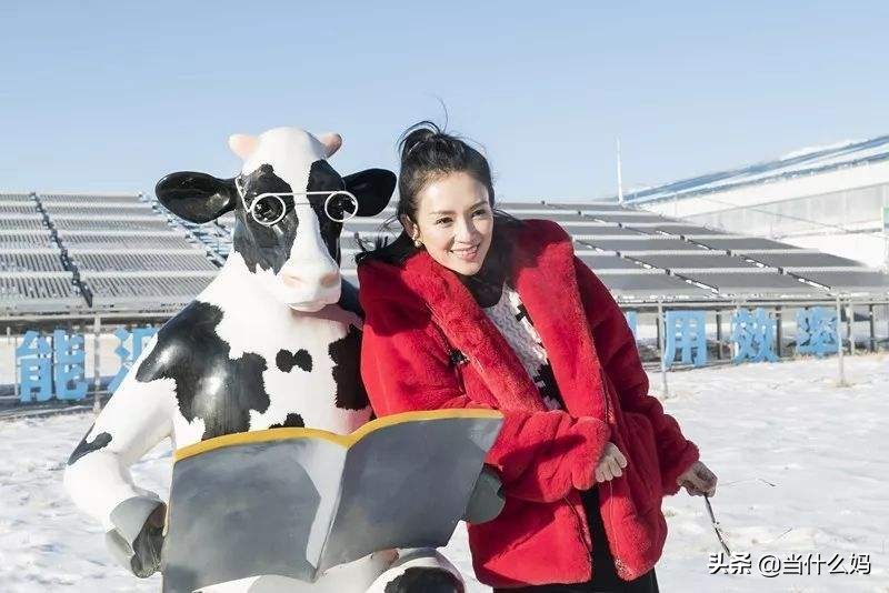 奶粉0-6个月测评排行榜,奶粉小测评