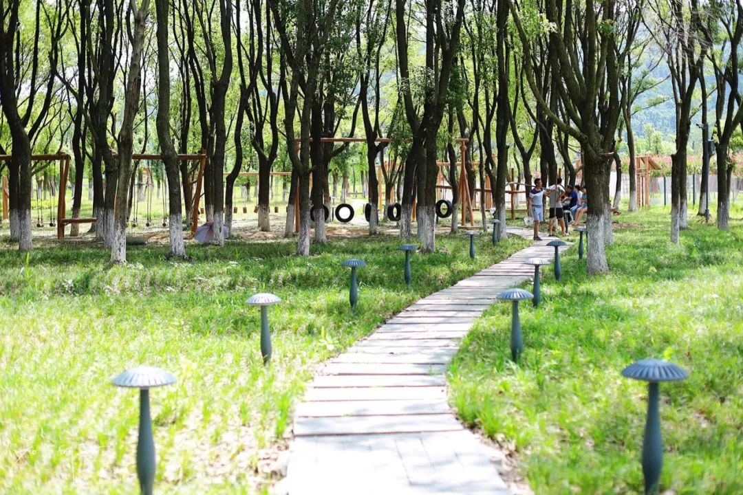 房车露营旅行推荐,自驾出游露营野炊房车营地