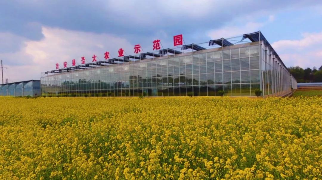 砥砺奋进新征程总结,乡镇乡村振兴先进事迹材料