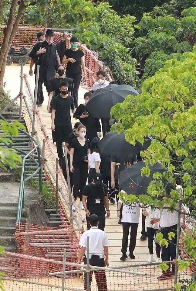 赌王千亿家产之谜视频,赌王家族到底有多豪横